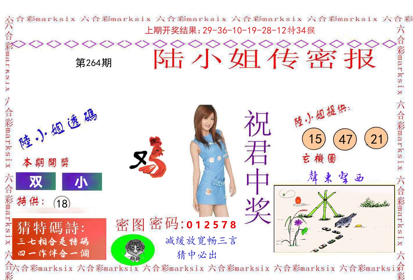 陆小姐密报 第264期