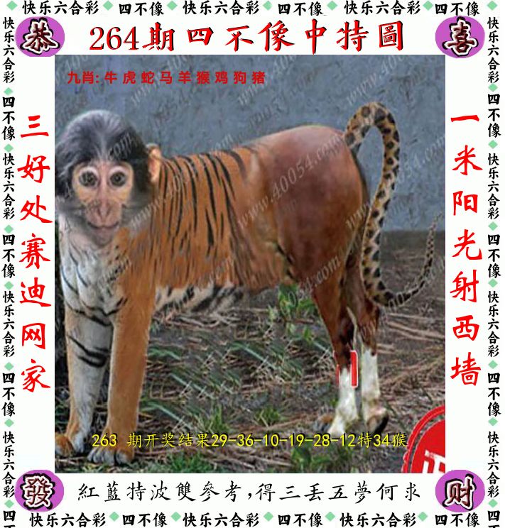 四不像 第264期