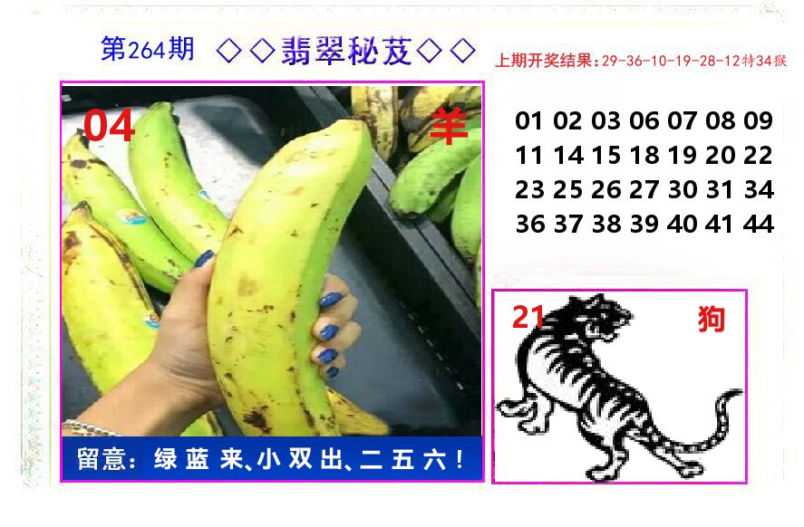 翡翠秘芨 第264期