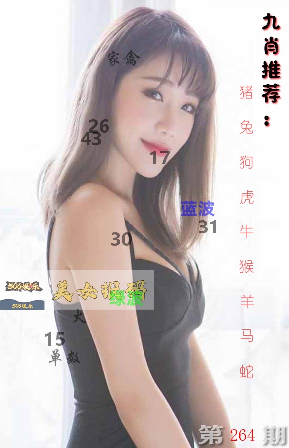 美女报码 第264期