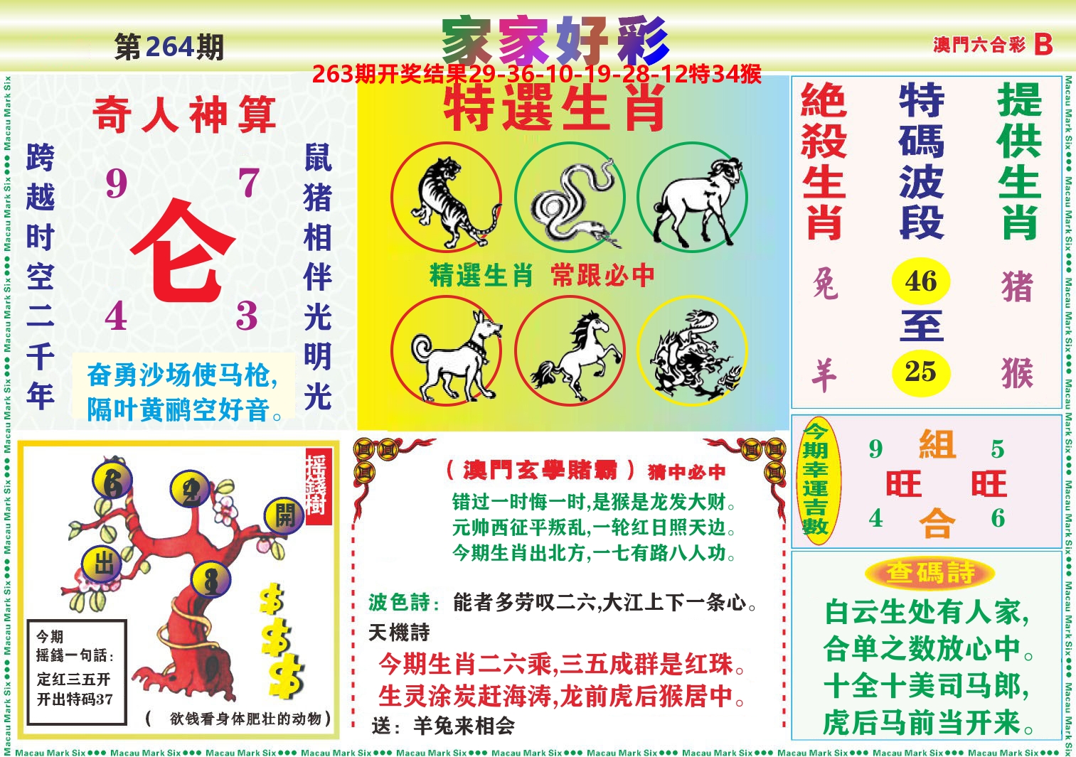家家好彩B 第264期