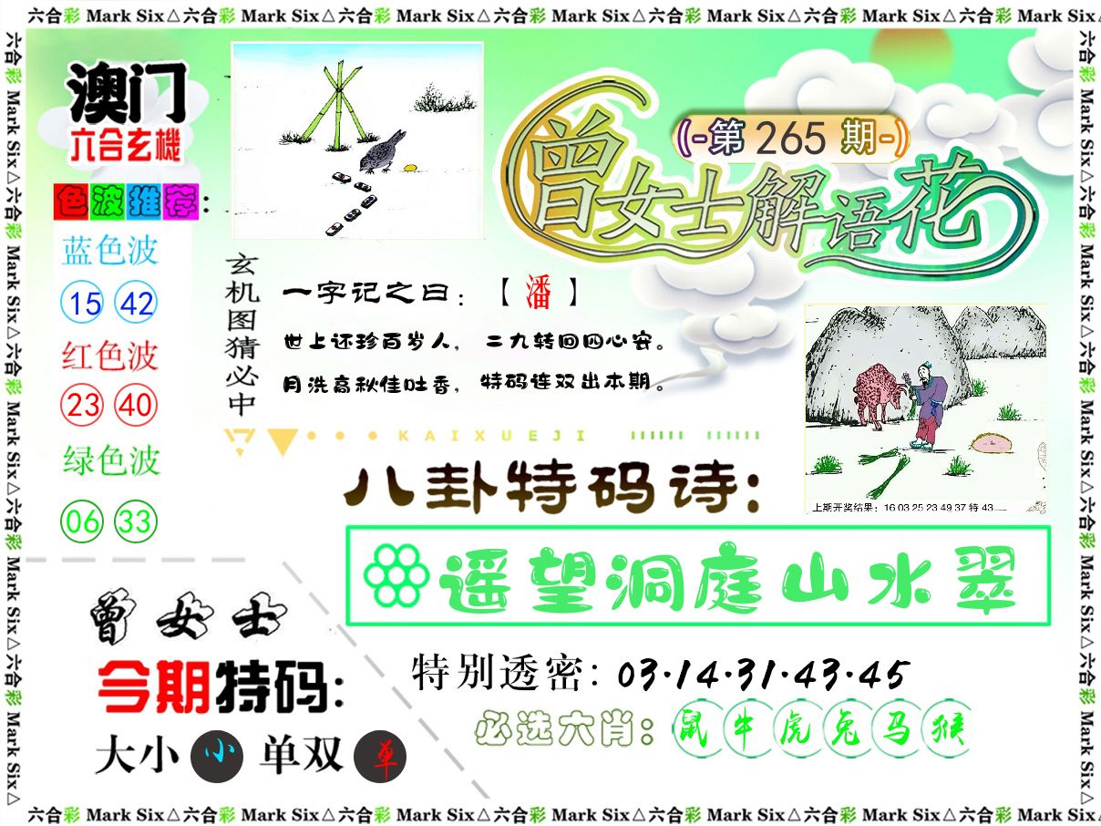 曾女士解语花 第265期