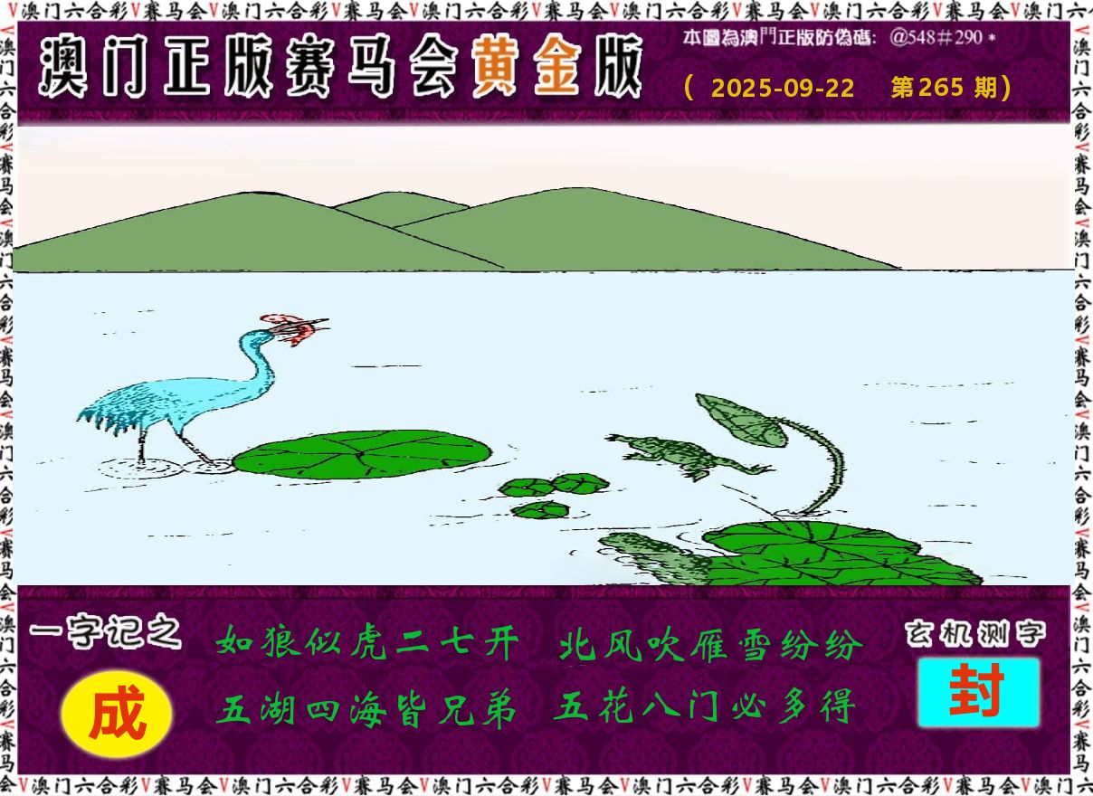 赛马会黄金版 第265期