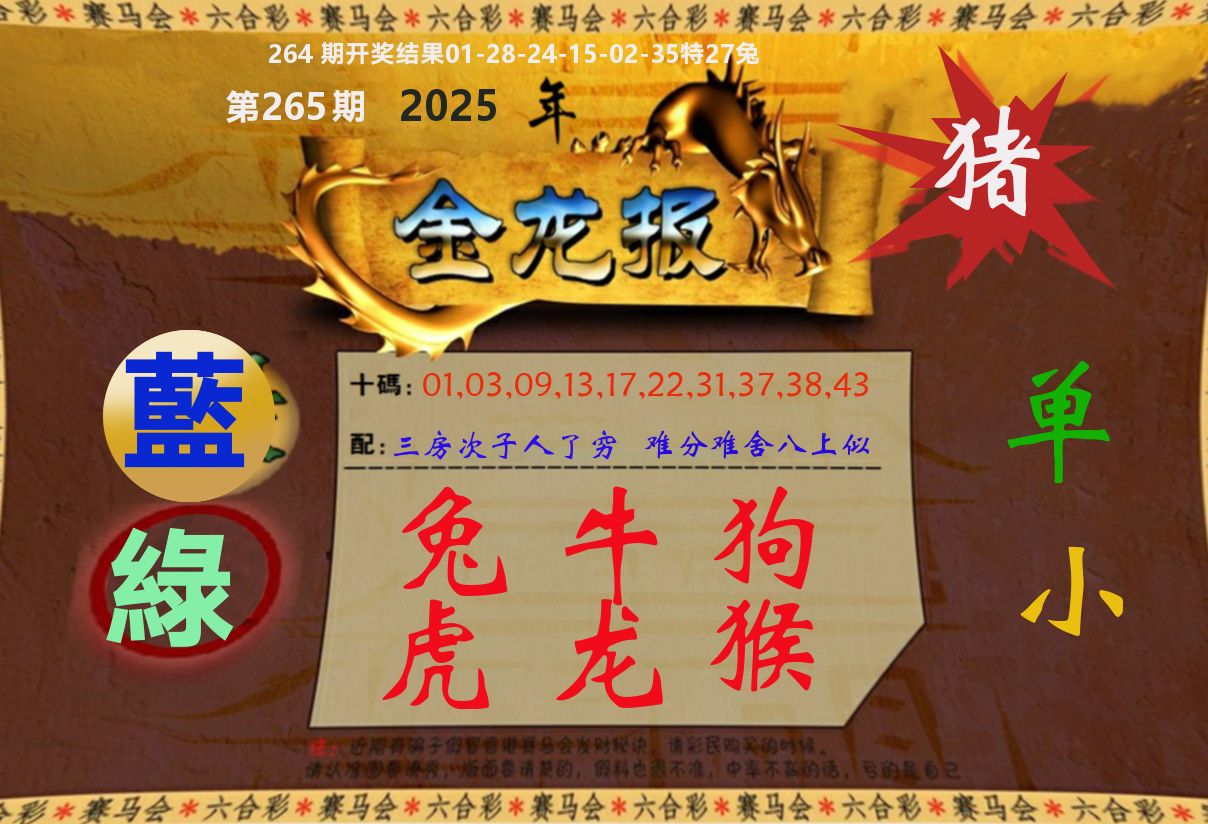 金龙报 第265期