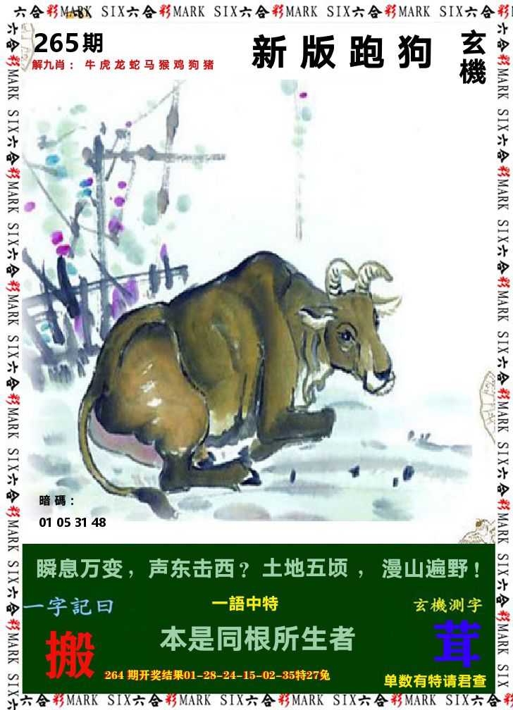 悟入其图 第265期