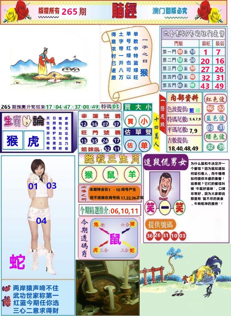 澳门赌经 第265期