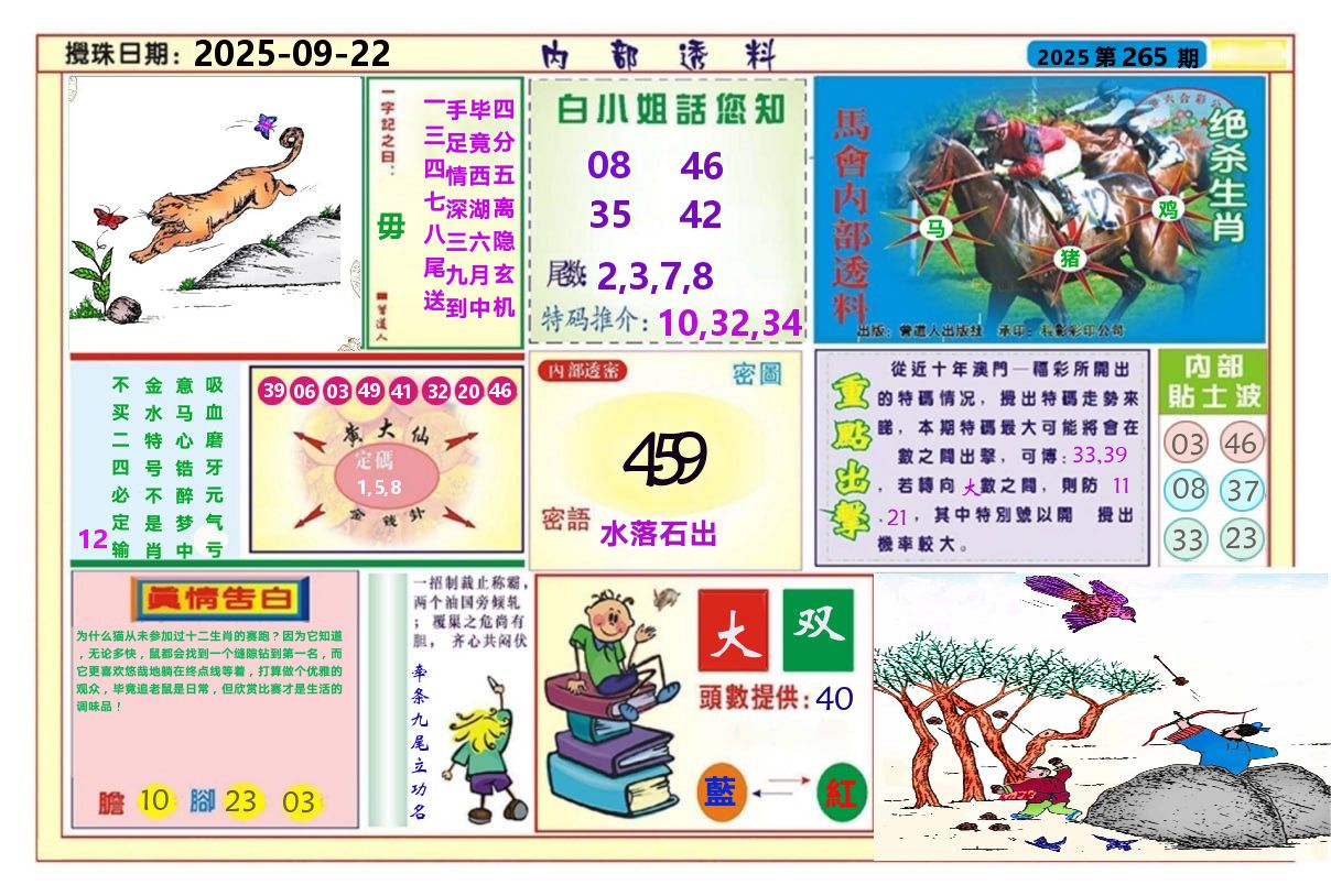 澳门内部透料A 第265期