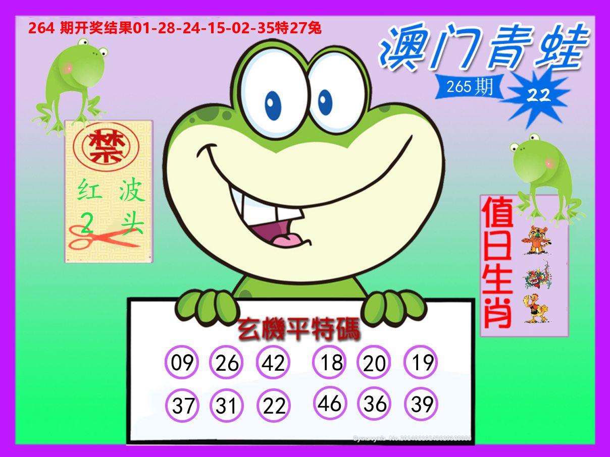 青蛙系列22 第265期