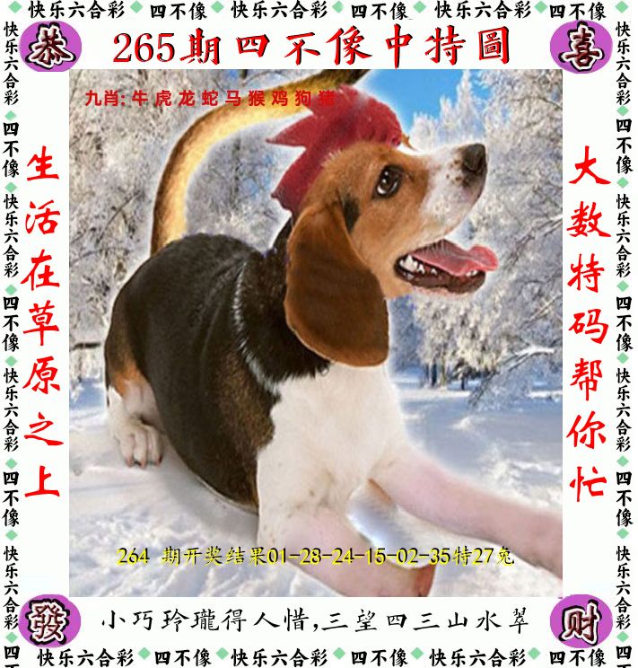 四不像 第265期
