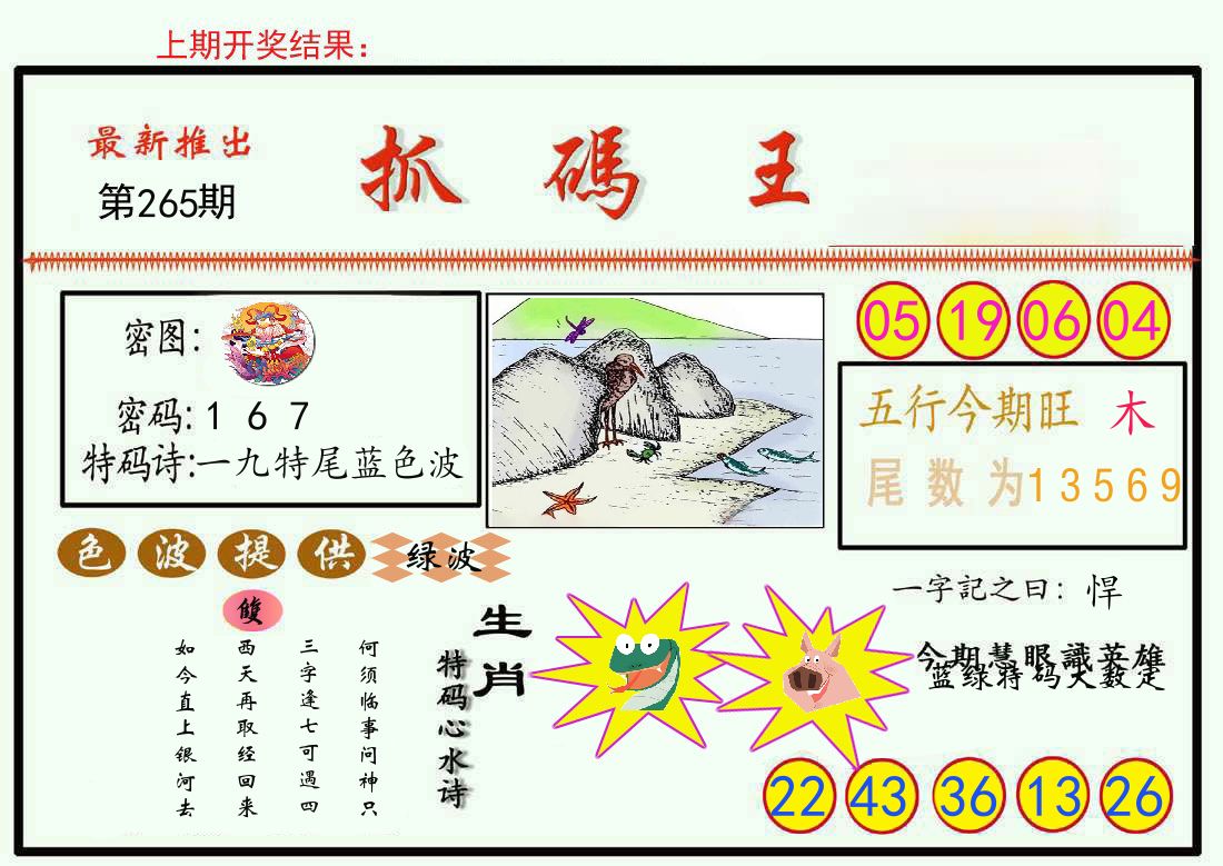 最新抓码王 第265期