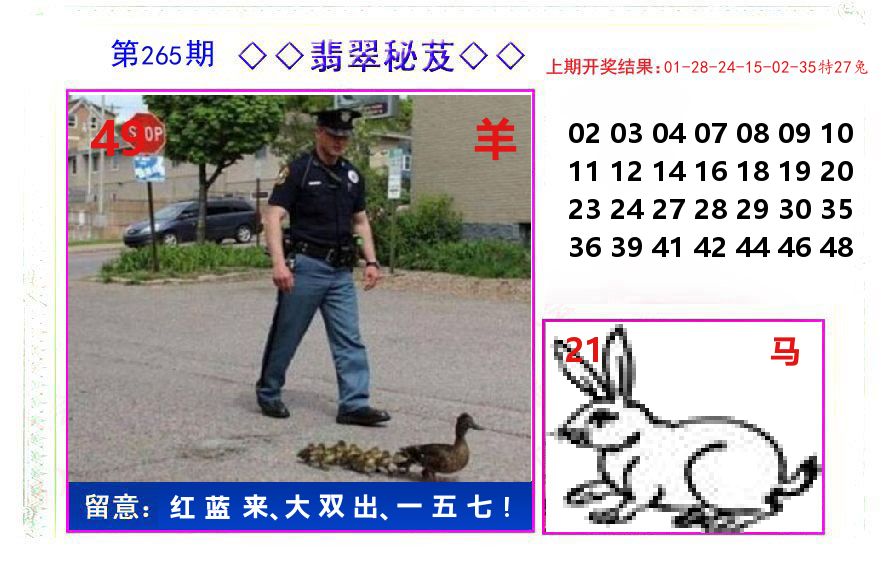 翡翠秘芨 第265期