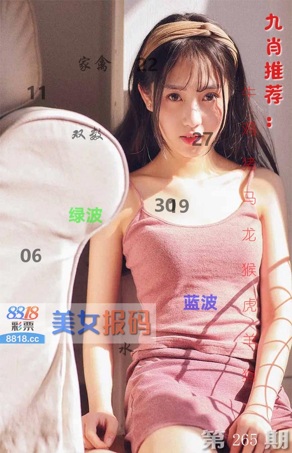 美女报码 第265期