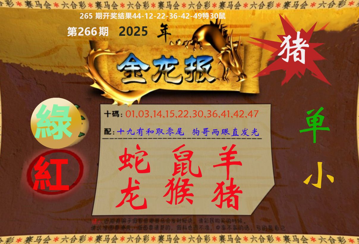 金龙报 第266期