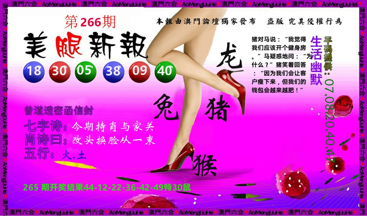 美腿新报 第266期
