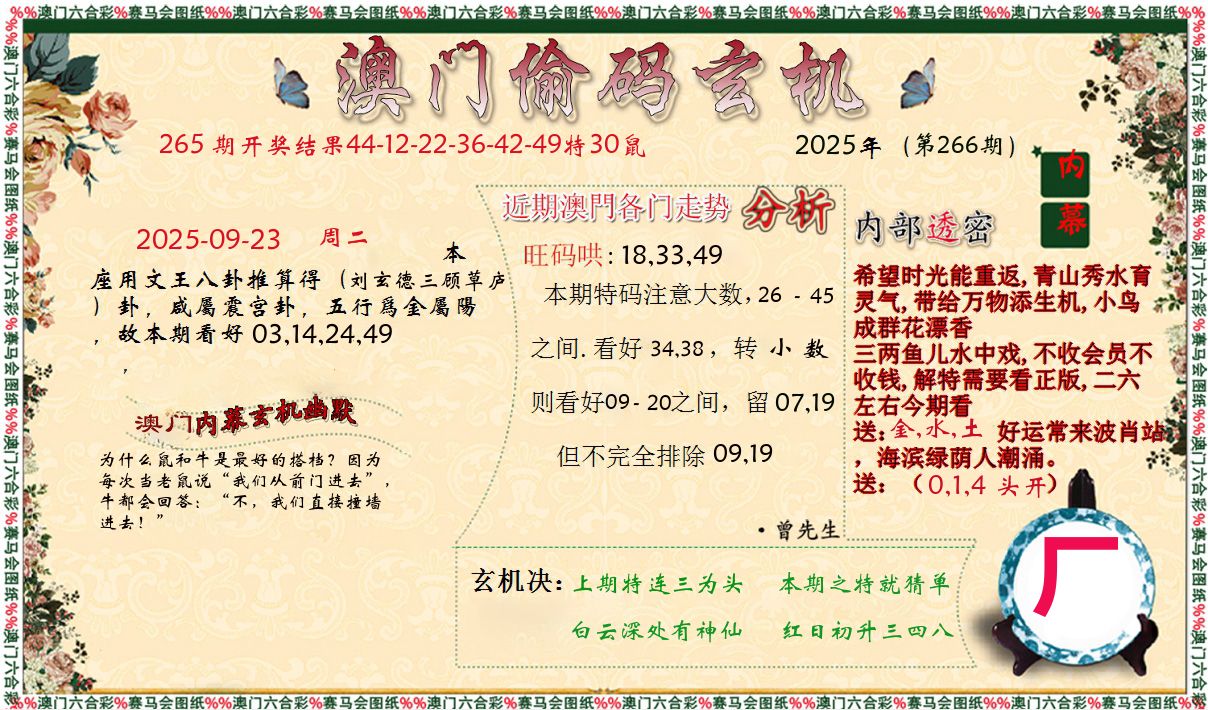 偷码玄机 第266期