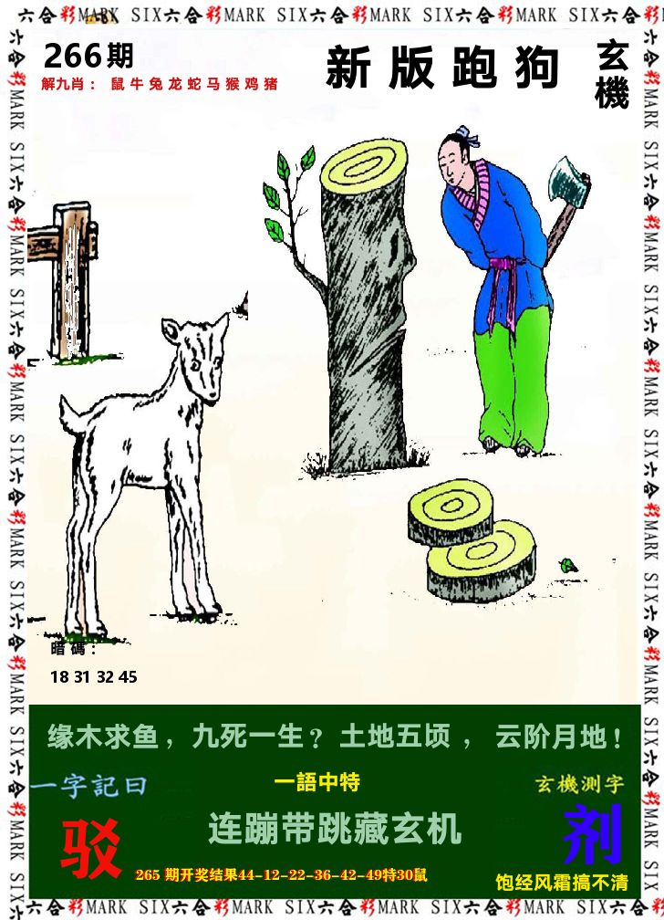 悟入其图 第266期