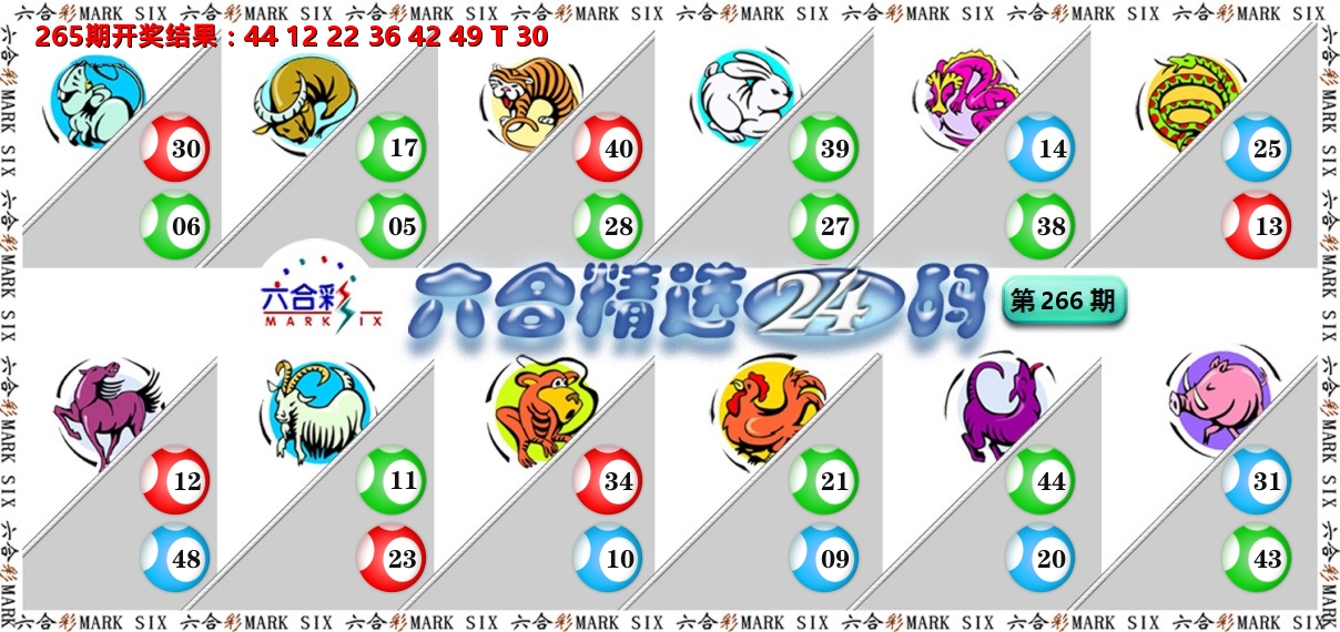 六合精选24码 第266期