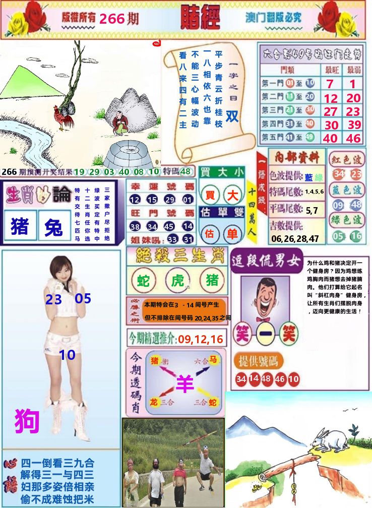 澳门赌经 第266期