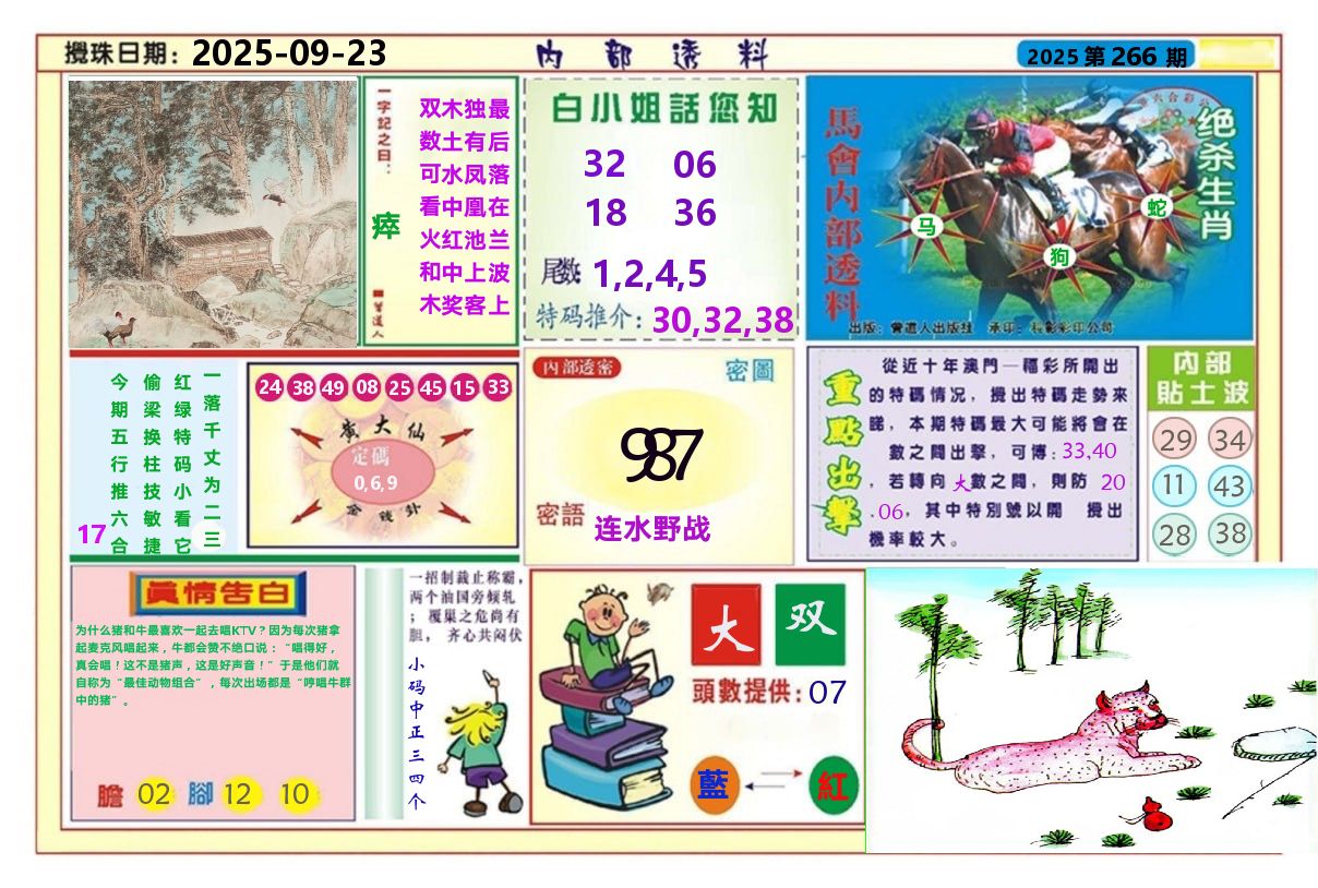 澳门内部透料A 第266期
