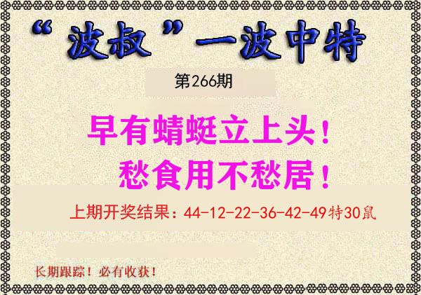 波叔中特 第266期