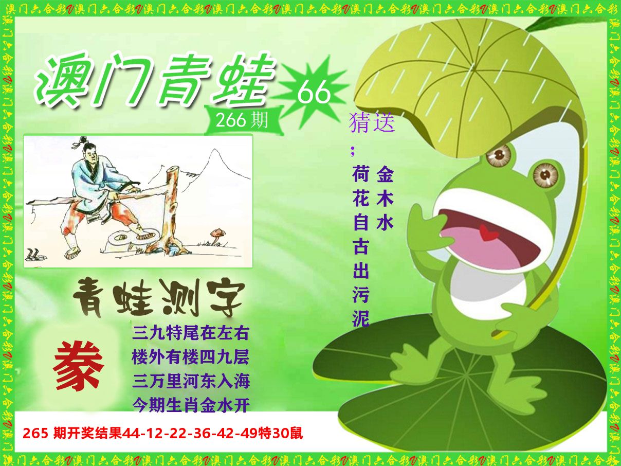 青蛙系列66 第266期