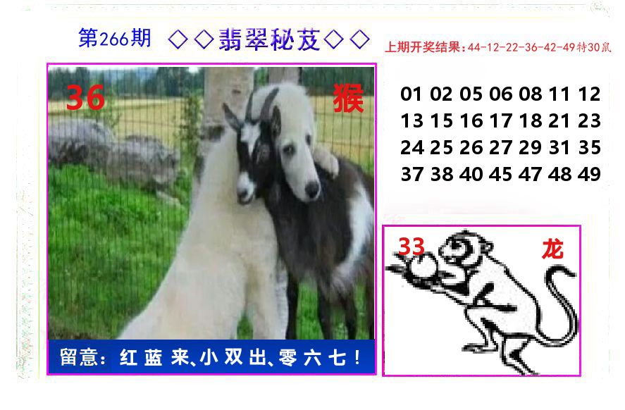 翡翠秘芨 第266期