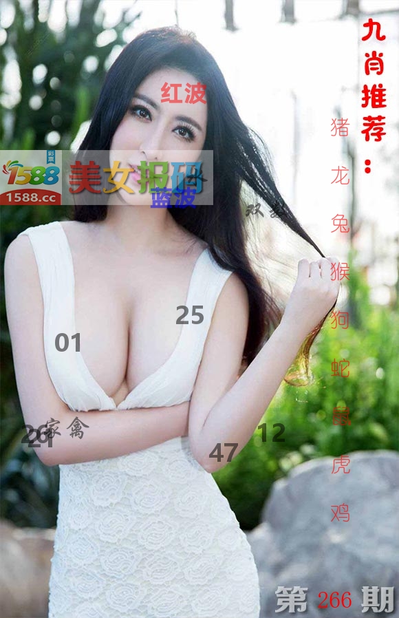 美女报码 第266期