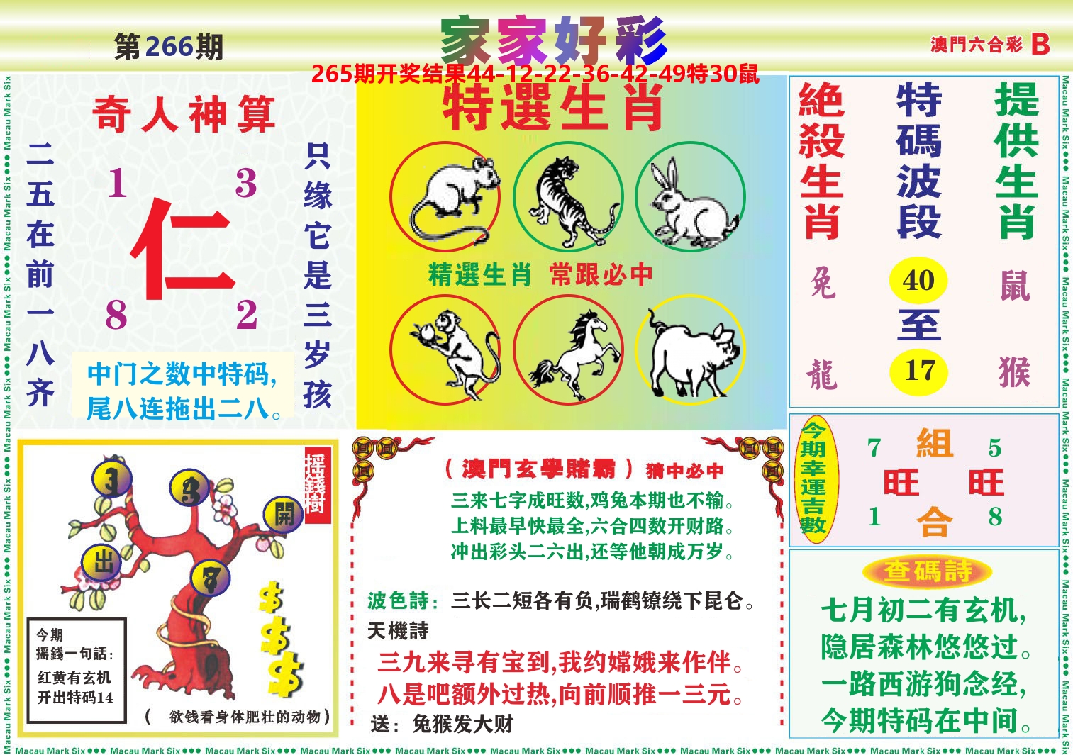 家家好彩B 第266期