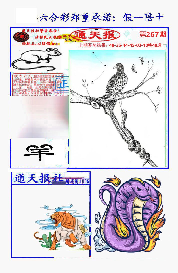 通天报 第267期