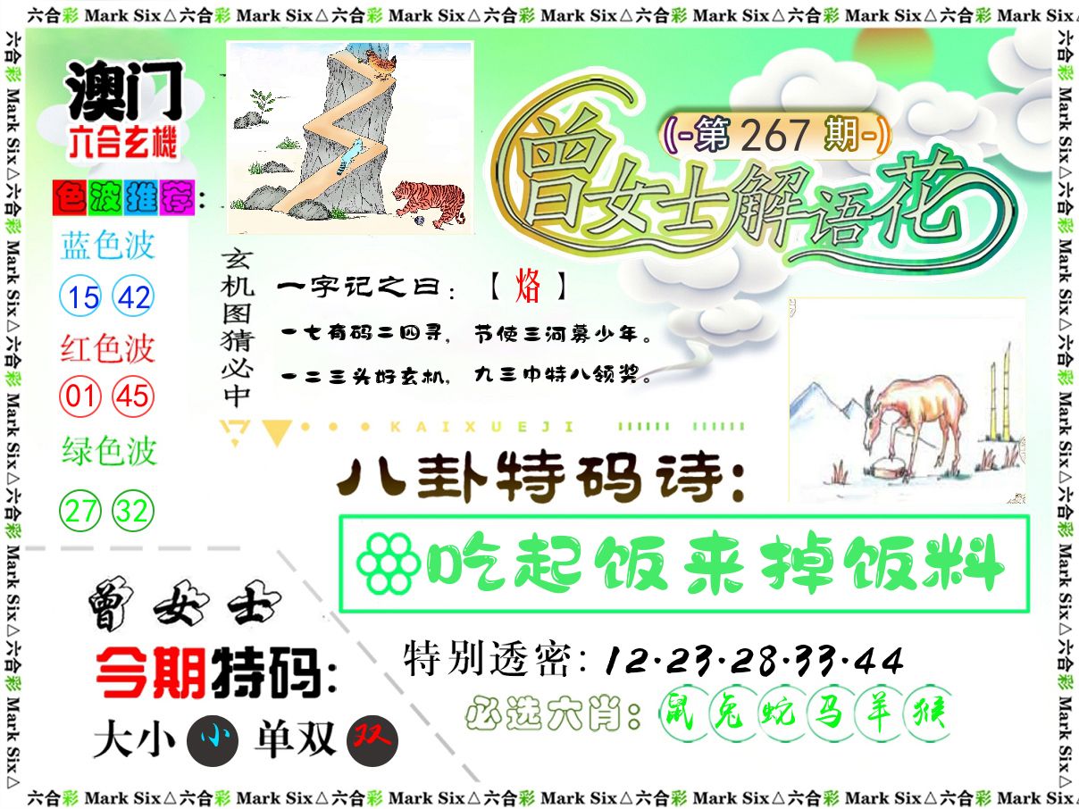 曾女士解语花 第267期