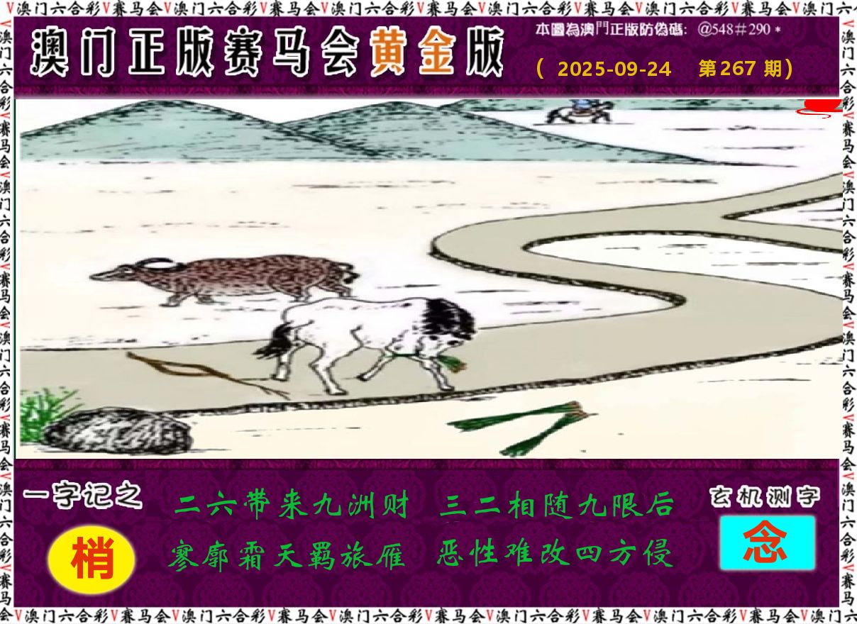 赛马会黄金版 第267期