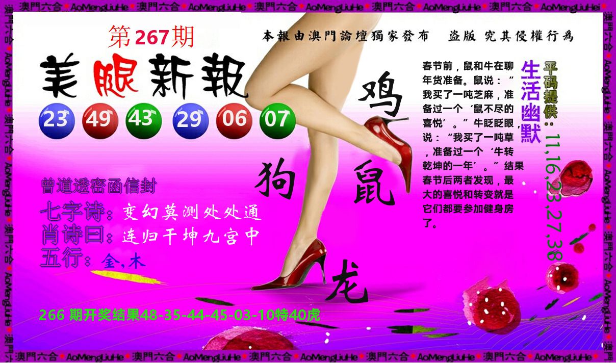 美腿新报 第267期
