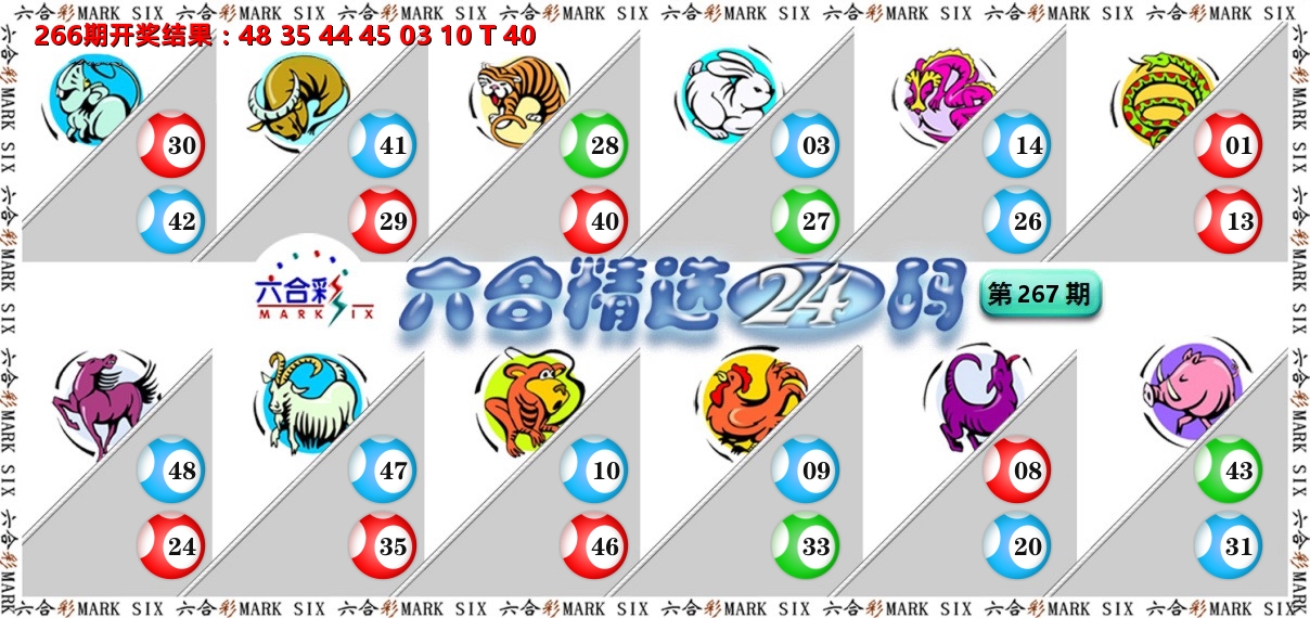 六合精选24码 第267期