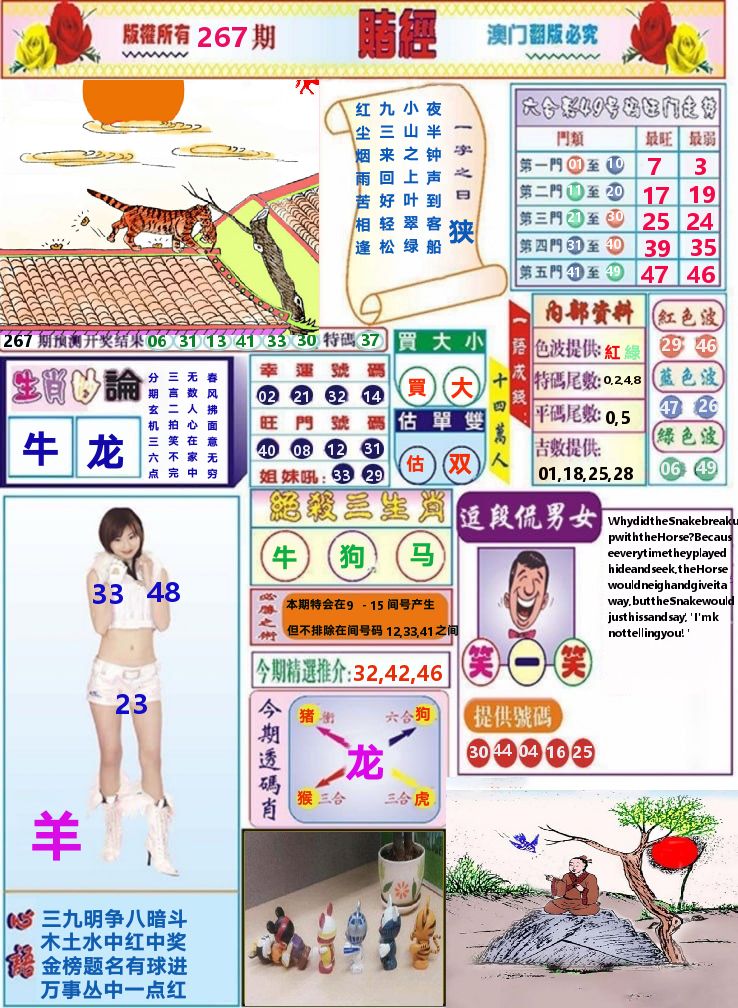 澳门赌经 第267期