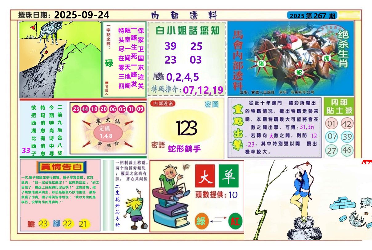澳门内部透料A 第267期