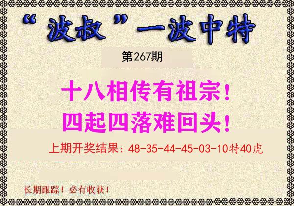 波叔中特 第267期
