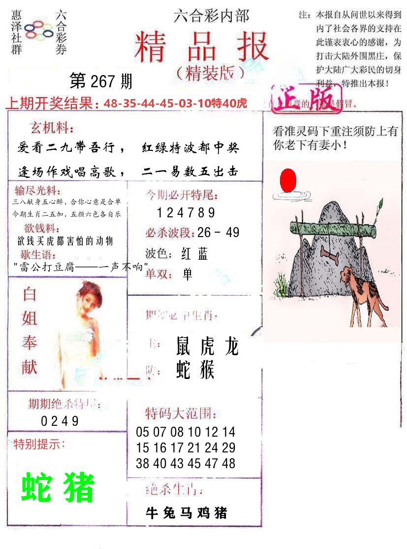 精品报 第267期