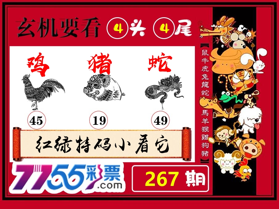 玄机要看 第267期