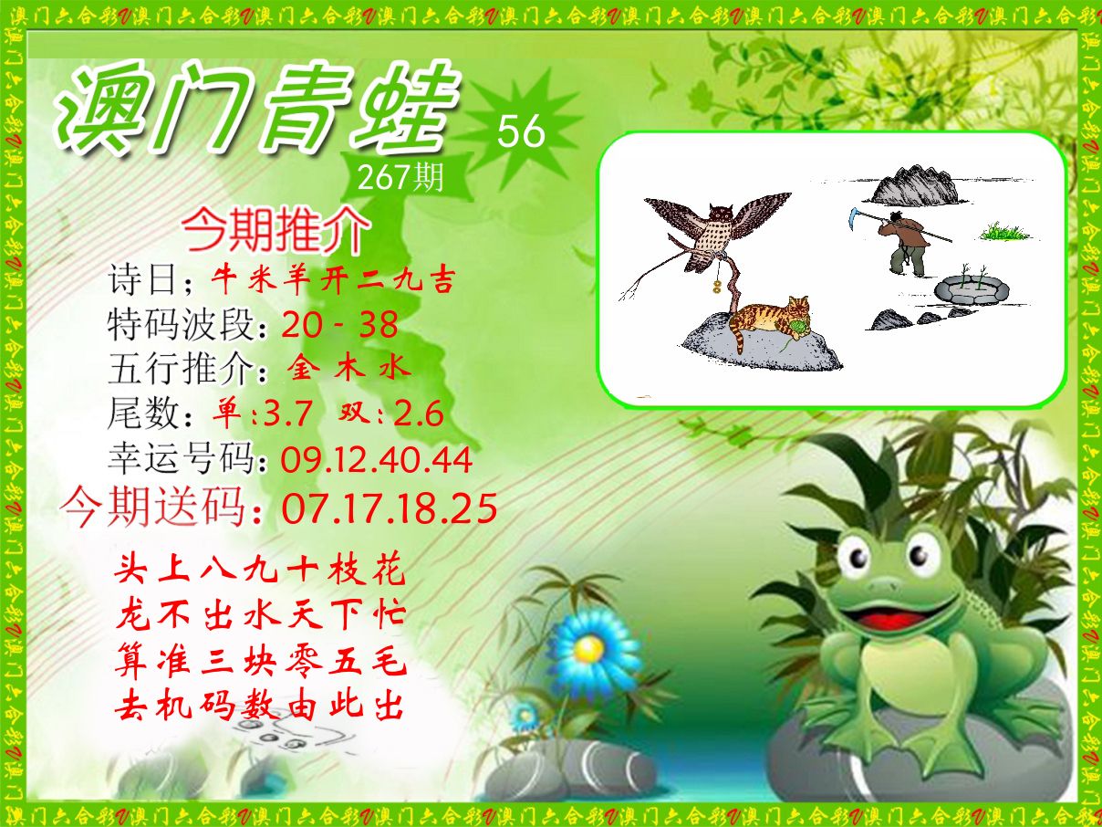青蛙系列56 第267期