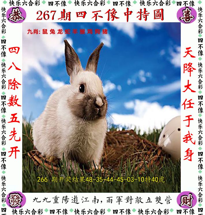 四不像 第267期
