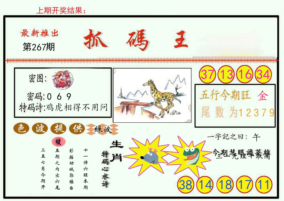 最新抓码王 第267期