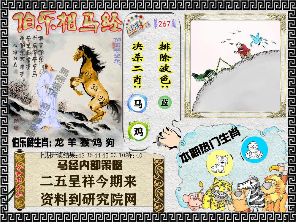 伯乐相马经 第267期