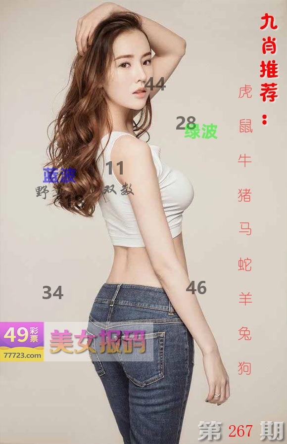 美女报码 第267期