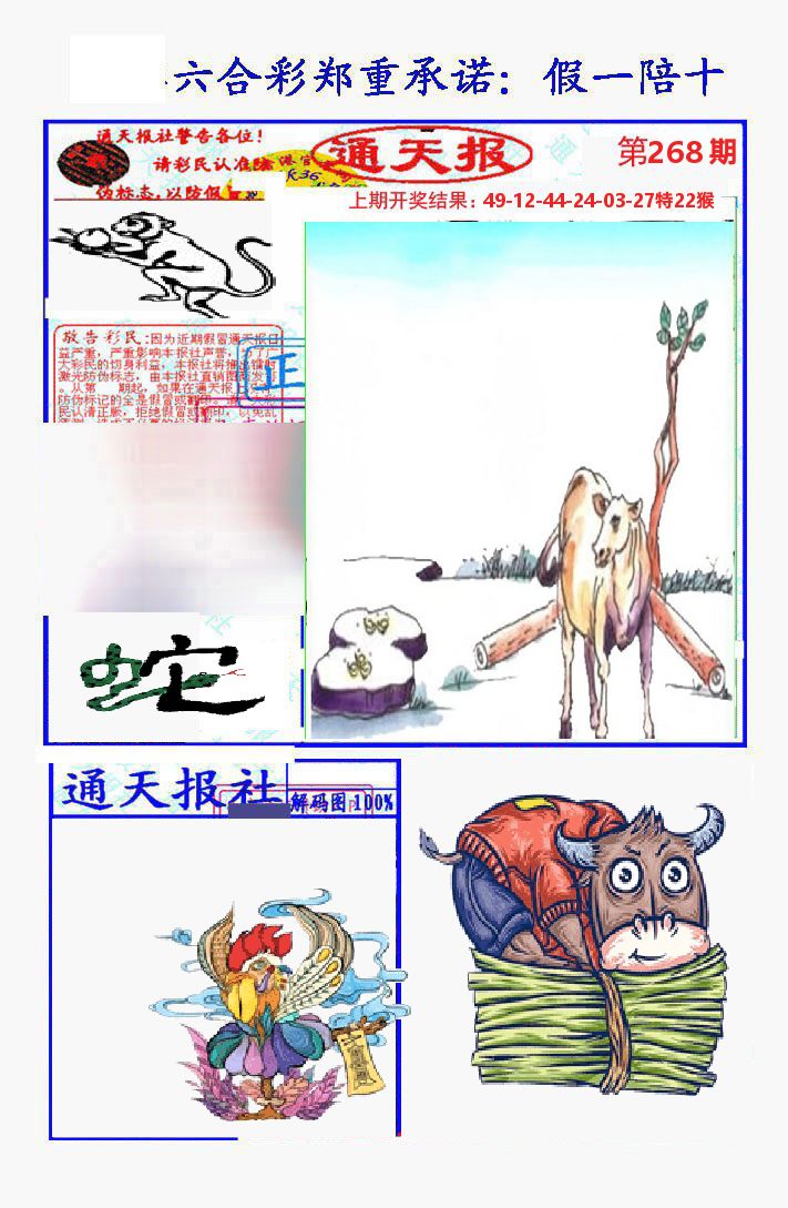 通天报 第268期