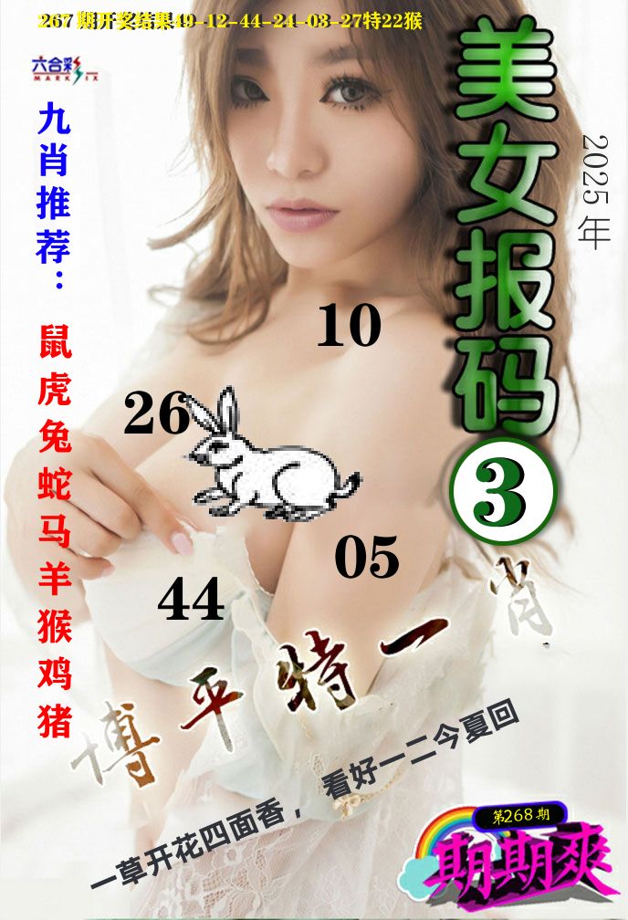 美女码报3 第268期
