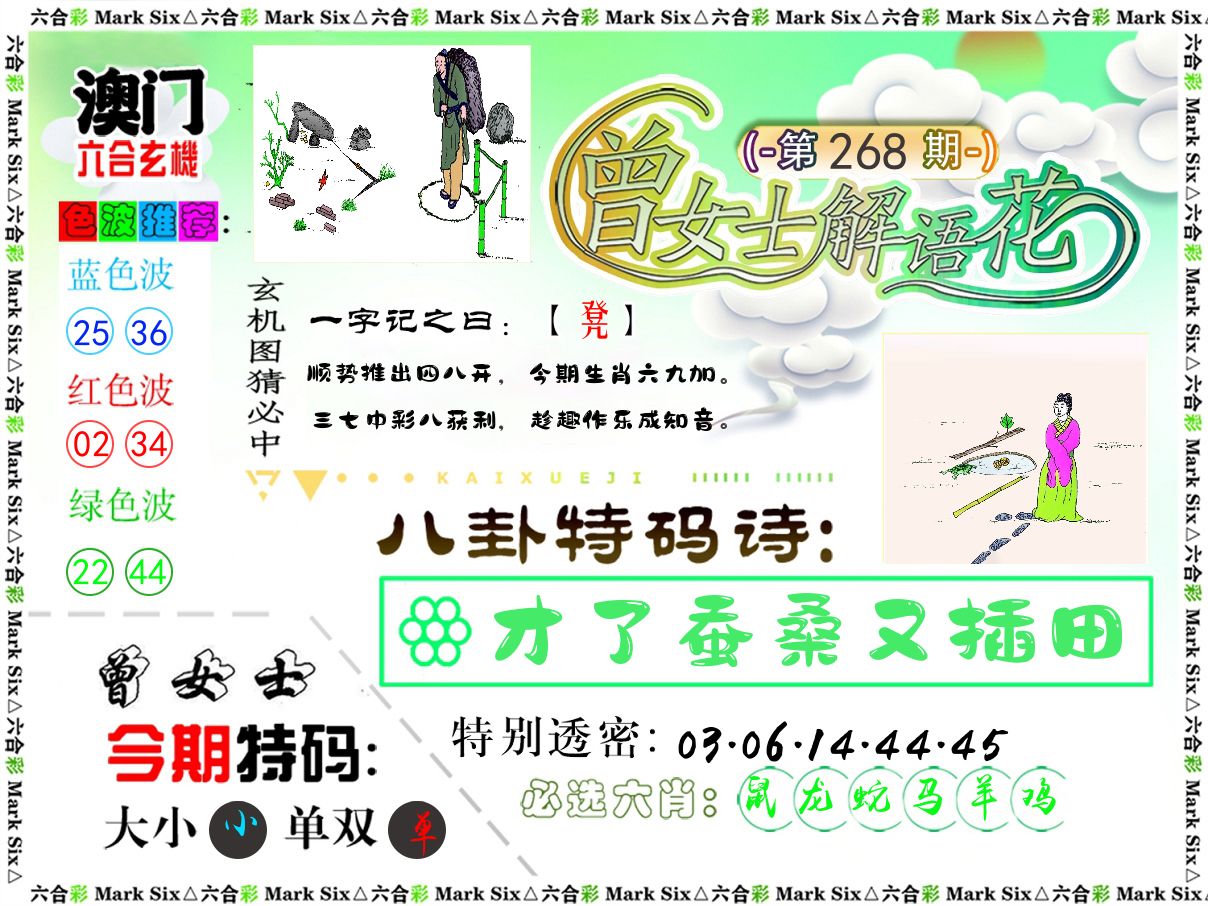 曾女士解语花 第268期