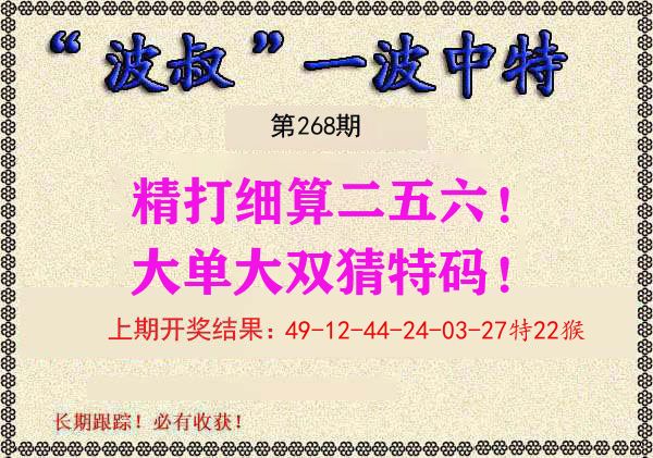 波叔中特 第268期
