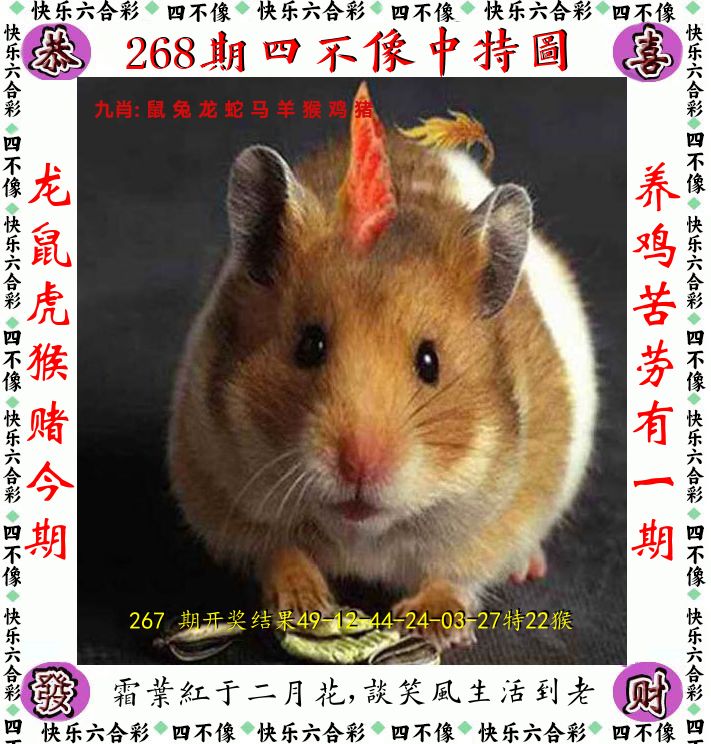四不像 第268期