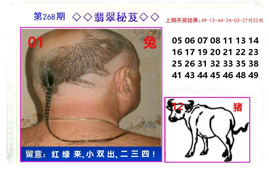 翡翠秘芨 第268期