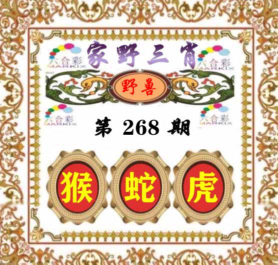 家野三肖 第268期